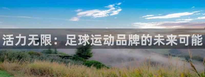 bsports必一运动：活力无限：足球运动品牌的未来可能