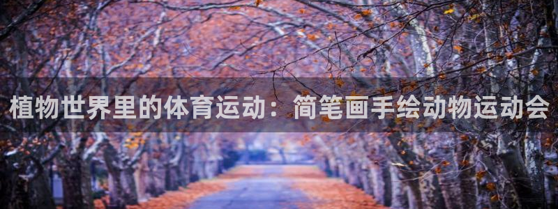 必一运动官网：植物世界里的体育运动：简笔画手绘动物运动会