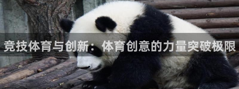 必一运动体育官网：竞技体育与创新：体育创意的力量突破极限