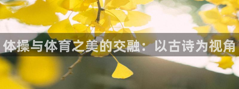 bsports官网 必一运动：体操与体育之美的交融：以古诗为视角