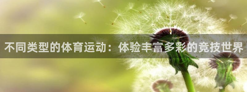 必一运动app：不同类型的体育运动：体验丰富多彩的竞技世界