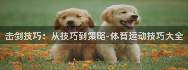 必一运动官网入口：击剑技巧：从技巧到策略-体育运动技巧大全