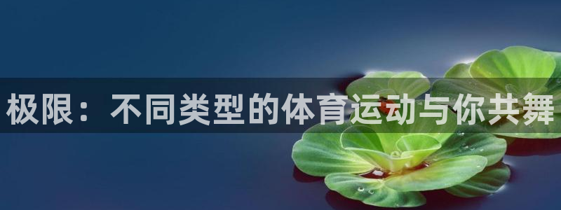必一运动官网入口：极限：不同类型的体育运动与你共舞