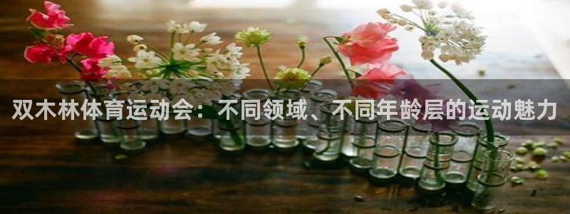 必一运动体育：双木林体育运动会：不同领域、不同年龄层的运动魅力