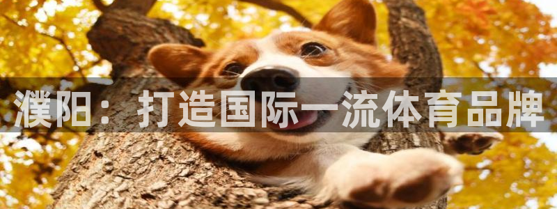 必一运动官网：濮阳：打造国际一流体育品牌