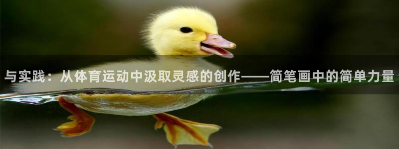 必一运动：与实践：从体育运动中汲取灵感的创作——简笔画中的简单力量